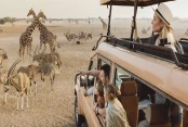 Your trip planned for you